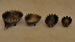 DSC_0002_resize.JPG