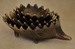 DSC_0009_resize.JPG