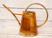 DSC_0047_resize.JPG
