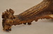 DSC_0075_resize.JPG