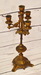 DSC_0251_resize.JPG