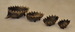 DSC_0999_resize.JPG