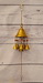 DSC_1100_resize.JPG