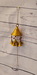 DSC_1104_resize.JPG