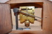 DSC_1128_resize.JPG