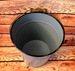 DSC_1552_resize.JPG