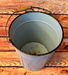 DSC_1563_resize.JPG