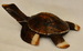DSC_3206_resize.JPG