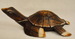 DSC_3209_resize.JPG
