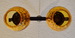 DSC_3879_resize.JPG