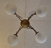 DSC_3898_resize.JPG