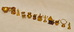 DSC_4072_resize.JPG
