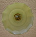 DSC_4534_resize.JPG