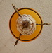 DSC_4649_resize.JPG