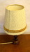 DSC_4971_resize.JPG