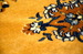 DSC_5670_resize.JPG