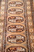 DSC_5683_resize.JPG
