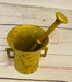 DSC_6001_resize.JPG