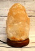 DSC_6272_resize.JPG