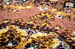 DSC_7867_resize.JPG