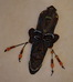 DSC_7878_resize.JPG