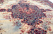 DSC_7906_resize.JPG