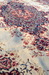 DSC_7907_resize.JPG