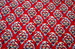 DSC_8264_resize.JPG