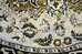 DSC_9004_resize.JPG