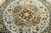 DSC_9006_resize.JPG