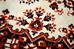 DSC_9016_resize.JPG