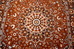 DSC_9082_resize.JPG