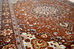 DSC_9083_resize.JPG