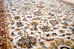 DSC_9101_resize.JPG