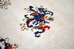 DSC_9111_resize.JPG