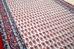 DSC_9141_resize.JPG