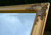 DSC_9281_resize.JPG