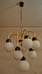 DSC_9989_resize.JPG