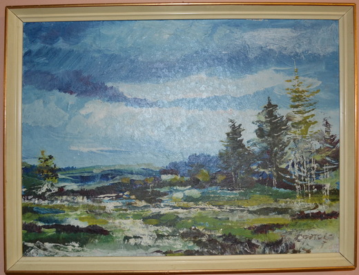 Obraz krajina pod mrakem