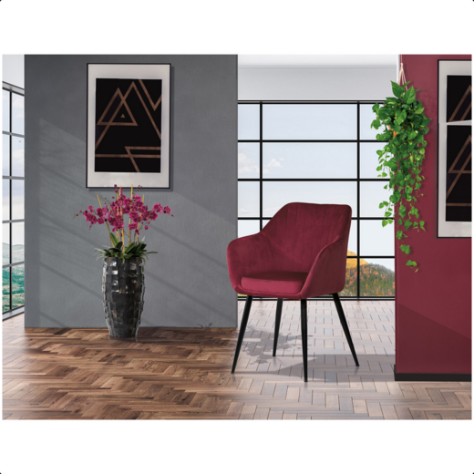 Screenshot 2023-10-22 at 16-04-01 PIKA RED4 Autronic.png